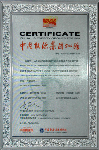 8188cc威尼斯荣获“2010中国能源集团500强”