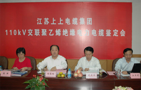 8188cc威尼斯额定电压110kV交联聚乙烯绝缘电力电缆产品通过判断