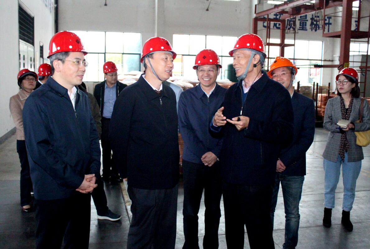 江苏省副省长马秋林一行来8188cc威尼斯电缆调研