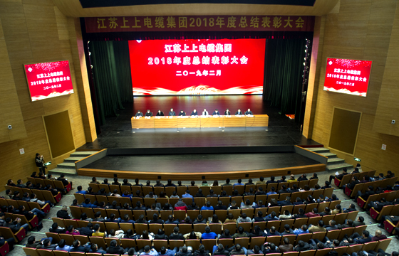 站在新起点、迈向新高度——8188cc威尼斯电缆盛大召开2018年总结表扬大会