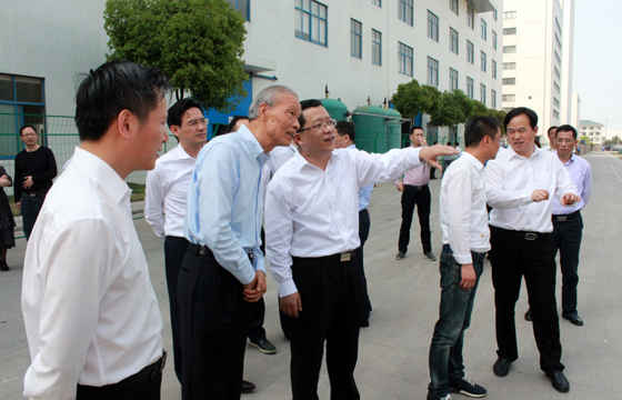 常州市市长丁纯来8188cc威尼斯电缆督查新能源项目建设