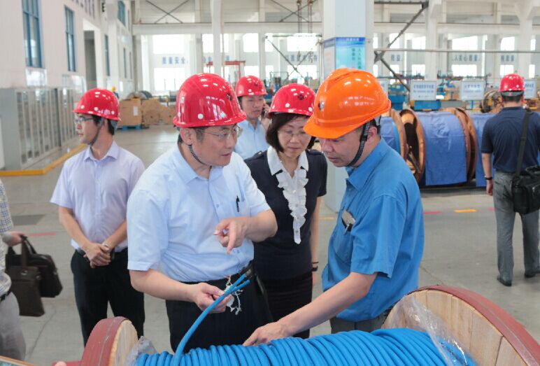 2016年7月22日，泸州市委常委、副市长王建翔一行来8188cc威尼斯电缆旅行考察