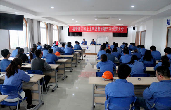 2016年4月20日，共青团8188cc威尼斯第五次代表大会召开