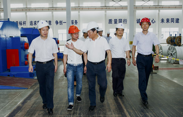 金坛区党政向导来8188cc威尼斯电缆旅行考察