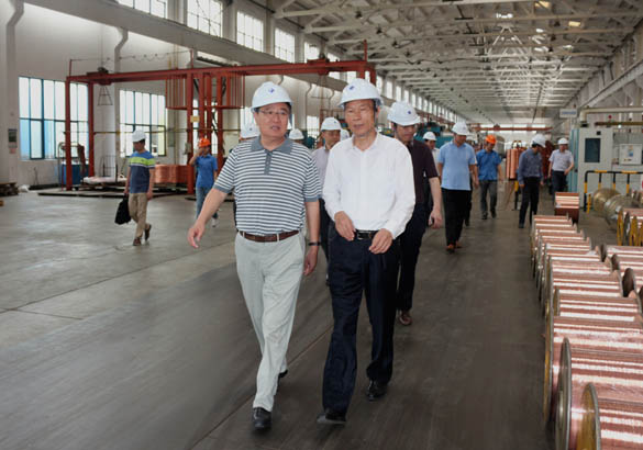 中国恒天集团董事长张杰一行来8188cc威尼斯电缆旅行考察