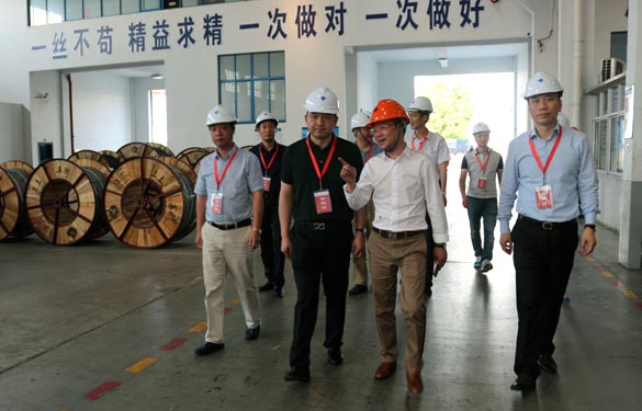 靖江市、溧阳市青商会齐聚8188cc威尼斯电缆旅行交流