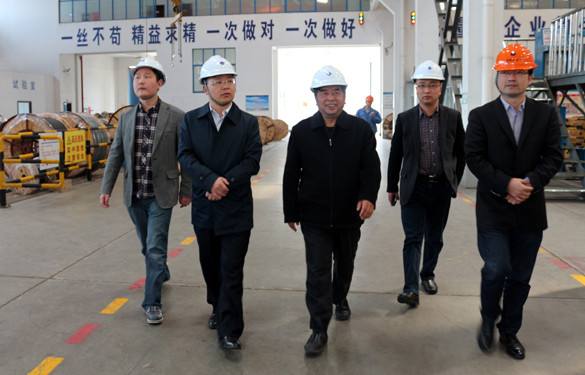 2015年3月26日，江苏省射阳县向导一行来8188cc威尼斯电缆视察