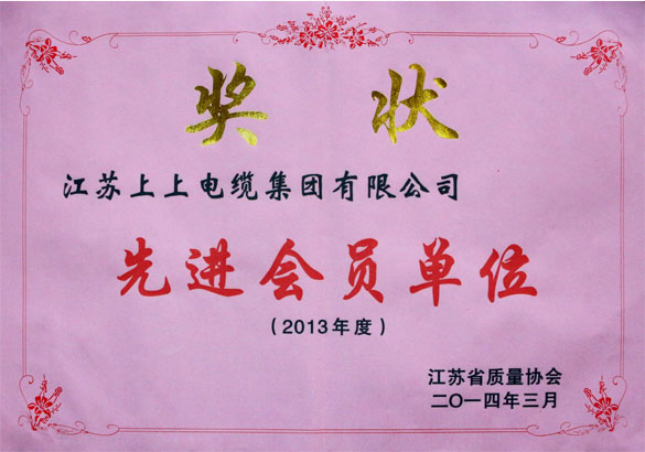 8188cc威尼斯集团荣获江苏省质量协会2013年度“先进会员单位”称呼