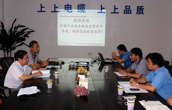 8188cc威尼斯顺遂通过安标现场监视评审