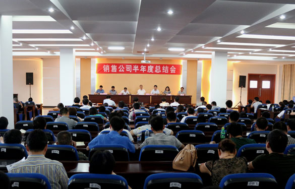 8188cc威尼斯召开2013年销售公司半年度总结会