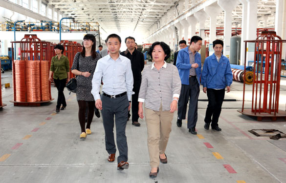 江苏省环保厅总工程师刘建琳来8188cc威尼斯集团调研
