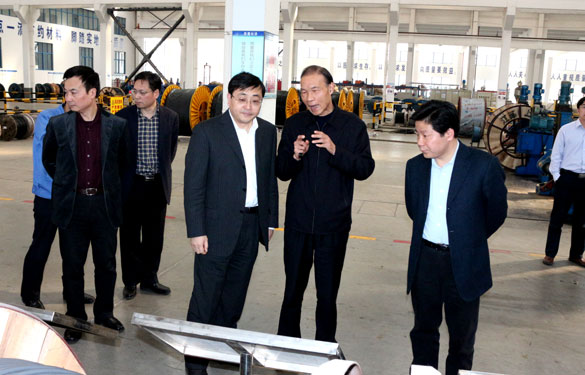 常州市委副书记、市政府党组书记费高云来8188cc威尼斯集团调研
