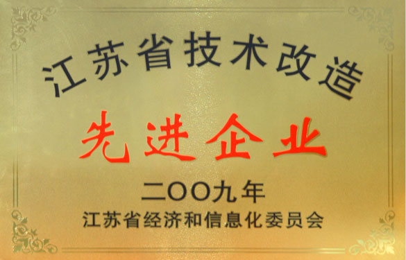 8188cc威尼斯获“2009年江苏省手艺刷新先进企业”称呼