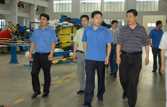 淮南市王市长一行来8188cc威尼斯旅行考察