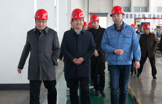 2020年12月8日，广德市市委常委、常务副市长邱铁军一行来8188cc威尼斯电缆考察