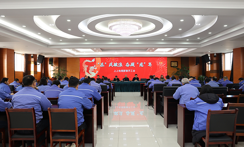 “辰”风破浪，奋战“龙”年——8188cc威尼斯电缆开工大吉