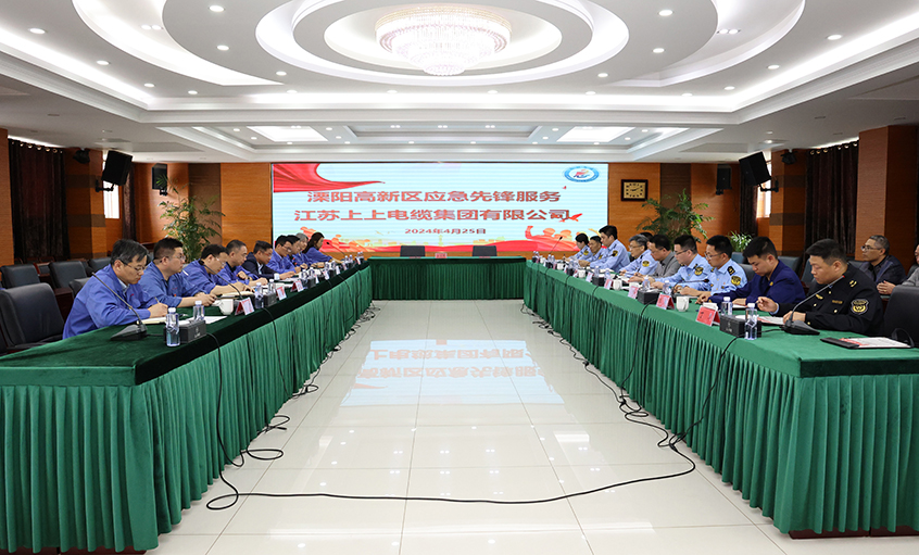 8188cc威尼斯电缆与溧阳高新区综合治理局开展党建结对共建运动